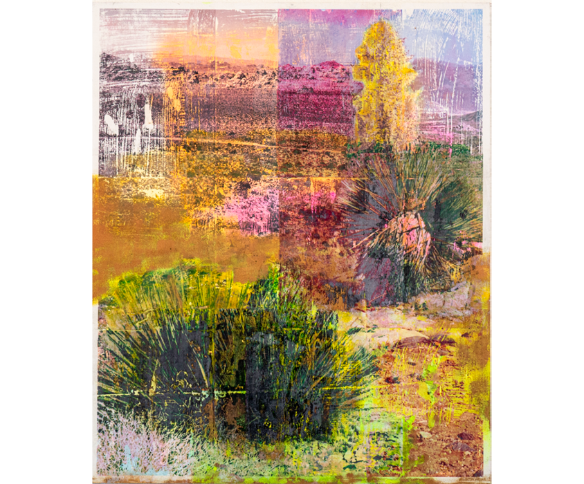 artwork mixed media collage joshua tree national park desert plants yucca california image